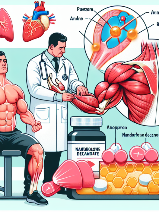 Anwendung von Nandrolon decanoat bei Muskelschwund und Atrophie: Ein Expertenüberblick